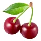 BCAA Instant Premium édesítőszeres Cherry 100g