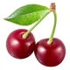 BCAA Instant Premium Flavored Cherry 400g