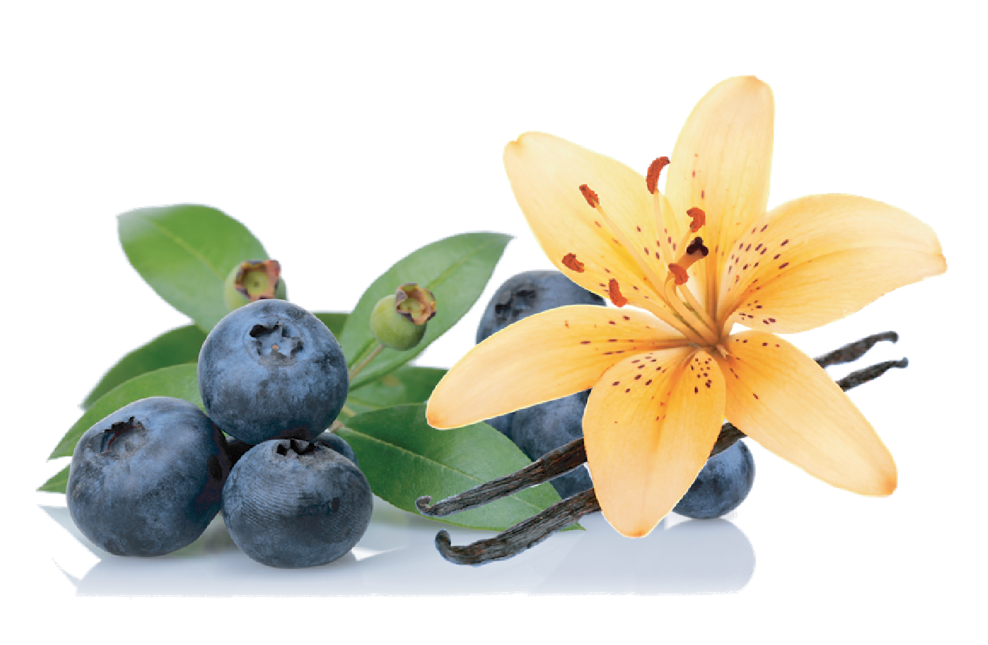 WPC 80 - tejsavó protein Blueberry Vanilla 1kg