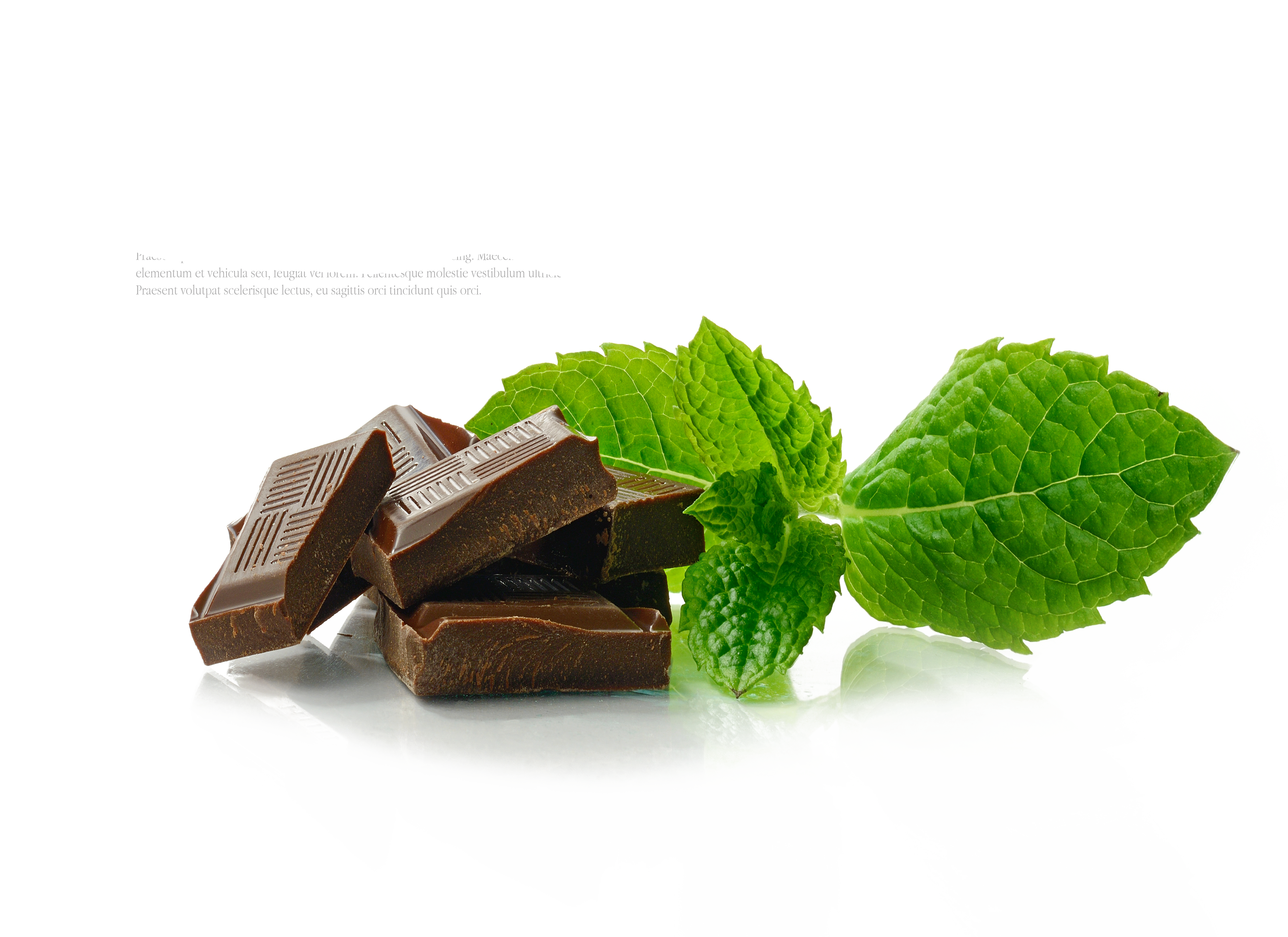 WPC 80 - tejsavó protein Chocolate Mint 1kg