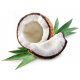 Vzorka WPC80 25g Coconut