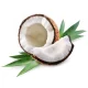 WPC80 Sample 25g Coconut