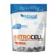 NitroCell - Preworkout Mix Natural 300g
