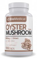Oyster Mushroom Extract – extrakt z Hlivy ustricovej