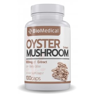 Oyster Mushroom Extract – extrakt z Hlivy ustricovej
