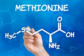 Esenciálne aminokyseliny: Metionín a jeho základné vlastnosti
