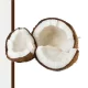 Egg Albumen - szárított tojásprotein 1kg Coconut