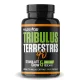 Tribulus Terrestris 40% tabletta 100 kapsz.