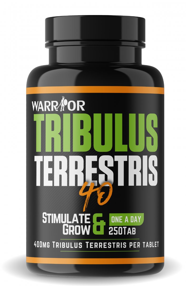 Tribulus Terrestris Extract Supplier - EverforEverBio