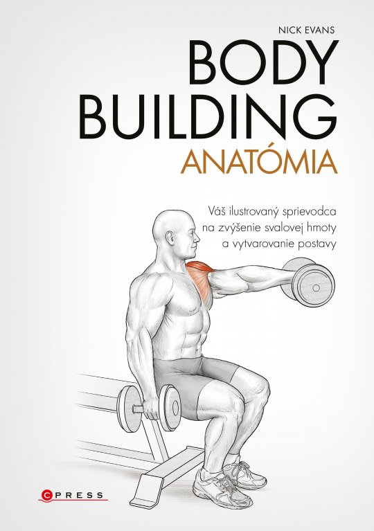 Bodybuilding - anatómia