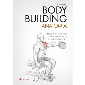 Bodybuilding - anatómia